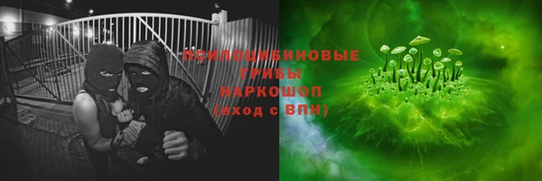 дживик Зеленодольск