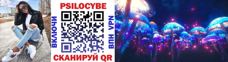 как найти   Струнино  Псилоцибиновые грибы прущие грибы 